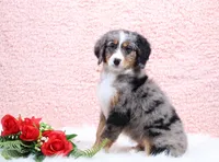 processed/4711aae3-09ea-47e0-836b-28b574937e82/listing/85dd107a-0564-4b90-b4f3-aa48aaaa6d8a/f0b75cb6-7267-4ee1-a013-4211a6073a91