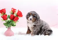 processed/4711aae3-09ea-47e0-836b-28b574937e82/listing/963b8ea4-44a3-419f-9548-39ceaa13e324/0d05c7f0-c13b-4a62-aa4f-2af66678e14a