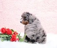 processed/4711aae3-09ea-47e0-836b-28b574937e82/listing/963b8ea4-44a3-419f-9548-39ceaa13e324/3b716d75-7c76-4159-b704-359f4a954949