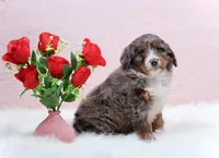 processed/4711aae3-09ea-47e0-836b-28b574937e82/listing/963b8ea4-44a3-419f-9548-39ceaa13e324/c0d2697e-a34b-4178-b32d-6a68b237456f