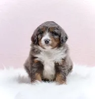 processed/4711aae3-09ea-47e0-836b-28b574937e82/listing/963b8ea4-44a3-419f-9548-39ceaa13e324/e03226a3-3a5a-4f3e-9809-05c1592b8ad0