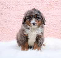 processed/4711aae3-09ea-47e0-836b-28b574937e82/listing/963b8ea4-44a3-419f-9548-39ceaa13e324/fbb49664-c49e-4419-837c-d1e49f4e5994