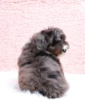 processed/4711aae3-09ea-47e0-836b-28b574937e82/listing/c5048c5d-c7a2-4559-9d2a-5d070e991110/2731b617-423d-49c4-879b-b7b065870fc4