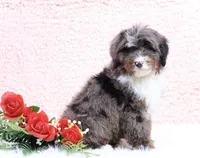 processed/4711aae3-09ea-47e0-836b-28b574937e82/listing/c5048c5d-c7a2-4559-9d2a-5d070e991110/b41697b9-bdfc-4659-8b4a-95b533736797