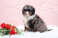 processed/4711aae3-09ea-47e0-836b-28b574937e82/listing/c5048c5d-c7a2-4559-9d2a-5d070e991110/e397c766-367b-45e5-bde0-0e1566030d91