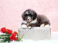 processed/4711aae3-09ea-47e0-836b-28b574937e82/listing/c5048c5d-c7a2-4559-9d2a-5d070e991110/fb390618-c4f7-4172-93fc-61650a74983d