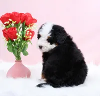 processed/4711aae3-09ea-47e0-836b-28b574937e82/listing/d085a0f3-cf10-4eb6-a932-1c4376f231e0/0a74121c-214c-40ed-b2ca-b9e0ab994835