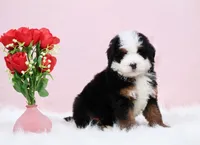 processed/4711aae3-09ea-47e0-836b-28b574937e82/listing/d085a0f3-cf10-4eb6-a932-1c4376f231e0/891c95a1-2b24-4836-98cd-cce54db3388e