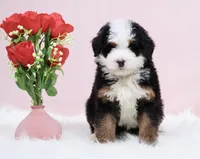 processed/4711aae3-09ea-47e0-836b-28b574937e82/listing/d085a0f3-cf10-4eb6-a932-1c4376f231e0/d00674ac-013b-4692-a2b2-119294fed1f8