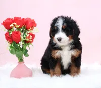 processed/4711aae3-09ea-47e0-836b-28b574937e82/listing/fd0ec999-c2d9-4160-b778-416098c69ad9/3d321399-9d54-475f-82eb-7080f6ce5425