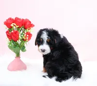 processed/4711aae3-09ea-47e0-836b-28b574937e82/listing/fd0ec999-c2d9-4160-b778-416098c69ad9/5671b089-1484-420e-b9d5-a211ce26109e