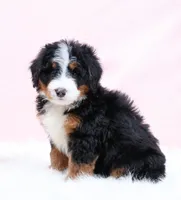 processed/4711aae3-09ea-47e0-836b-28b574937e82/listing/fd0ec999-c2d9-4160-b778-416098c69ad9/b6768674-0b71-42d2-8a0e-59fe5963051d