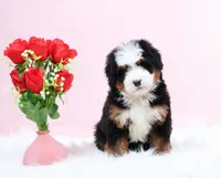 processed/4711aae3-09ea-47e0-836b-28b574937e82/listing/ff50c832-28a6-4901-8f66-e695017118cc/4c3f79bf-415a-4399-89e7-93a567be769d