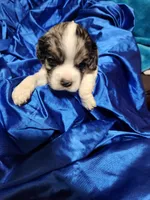 processed/472440de-e80d-4c75-85f8-a61f6c7e4596/listing/b3afdbcb-08ed-4633-81c8-5c285b85f4a4/f6556b01-8353-4c77-a6e0-c4a398ad99b9