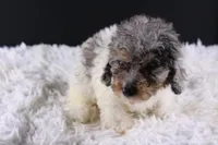 processed/4727d832-ffbc-4fa9-b23e-f4459ab7c300/listing/2b9ddbae-08cd-46ea-95bb-0eab101f6fed/464a84be-3020-440d-8e81-bef39dfa9546