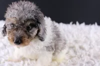 processed/4727d832-ffbc-4fa9-b23e-f4459ab7c300/listing/2b9ddbae-08cd-46ea-95bb-0eab101f6fed/b1b9502f-602c-4c84-a037-8897c76b3030