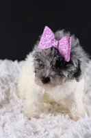 processed/4727d832-ffbc-4fa9-b23e-f4459ab7c300/listing/81e46a65-cc56-477e-9f7c-235a03f4748c/2ffddccb-e388-4b66-906a-2e7852bae7f5