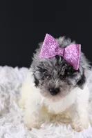 processed/4727d832-ffbc-4fa9-b23e-f4459ab7c300/listing/81e46a65-cc56-477e-9f7c-235a03f4748c/c23eff59-d15c-49eb-b596-3f644761cf43