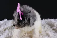 processed/4727d832-ffbc-4fa9-b23e-f4459ab7c300/listing/81e46a65-cc56-477e-9f7c-235a03f4748c/e54d9739-e471-43ca-ae4e-46629089dff6