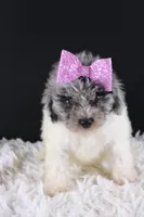 processed/4727d832-ffbc-4fa9-b23e-f4459ab7c300/listing/81e46a65-cc56-477e-9f7c-235a03f4748c/eabd3f9c-bd95-447d-b526-18883811d1ba