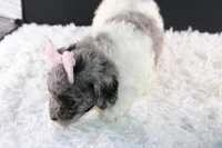 processed/4727d832-ffbc-4fa9-b23e-f4459ab7c300/listing/a52590b8-e97b-498b-afda-24fa355416ef/4fbbc0a9-bba9-4435-85b1-4daa8e36a450