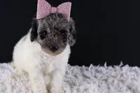 processed/4727d832-ffbc-4fa9-b23e-f4459ab7c300/listing/a52590b8-e97b-498b-afda-24fa355416ef/834be56a-53d9-479c-8a38-b205caa763b8