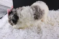 processed/4727d832-ffbc-4fa9-b23e-f4459ab7c300/listing/a52590b8-e97b-498b-afda-24fa355416ef/8bb85276-fb07-4673-a229-e631c35b0993