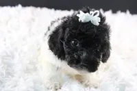 processed/4727d832-ffbc-4fa9-b23e-f4459ab7c300/listing/a840f210-d67d-4667-a824-99466b89ae27/2a0ce1f7-fee9-4a10-8afd-87c382f49b31