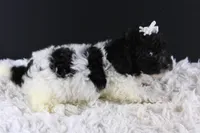 processed/4727d832-ffbc-4fa9-b23e-f4459ab7c300/listing/a840f210-d67d-4667-a824-99466b89ae27/7e9c10e0-a4b4-42ce-a530-b05b05aee98f