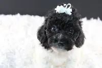 processed/4727d832-ffbc-4fa9-b23e-f4459ab7c300/listing/a840f210-d67d-4667-a824-99466b89ae27/94ea4964-de86-45f7-9ebd-8c7321033d32