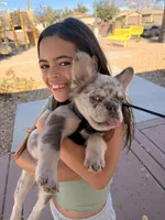 processed/4729bb30-a158-4e71-90df-fa4098ee33eb/facility/7c31ad25-7b7b-4c27-b481-7962bc1a3870