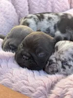 processed/4729bb30-a158-4e71-90df-fa4098ee33eb/facility/7c709df5-3c09-4ed7-aa53-3880d96cdef4