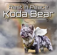 processed/4729bb30-a158-4e71-90df-fa4098ee33eb/facility/8daa3f73-9d95-46c8-9275-16278ed4417e