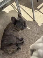 processed/4729bb30-a158-4e71-90df-fa4098ee33eb/facility/d925b5ab-f5e1-42d8-816a-930a2f9bc2cc