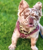 processed/4729bb30-a158-4e71-90df-fa4098ee33eb/facility/e05213b5-3e89-46ac-8bd1-79182c1dd62a