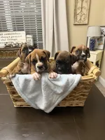 Facility photo