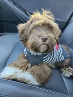 processed/4740bc4b-71aa-409b-b27f-cad8587f123a/facility/94bd60a8-a5e7-4e19-93d4-a34c0744fa00