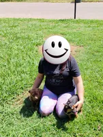 Daxy, a female Chihuahua for sale in Paoli, OK – Photo 2 of 4