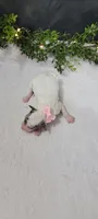Lexi, a female Poodle - Miniature  for sale in Kalamazoo, MI – 1 of 3