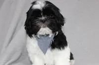 processed/477a908e-c497-4ec2-bbd8-b7f932275c18/listing/8ac60bee-af11-4477-950b-169a21dc3419/03b4ef16-e3e4-45b1-a871-d9dc12cc8a94