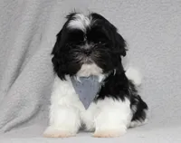 processed/477a908e-c497-4ec2-bbd8-b7f932275c18/listing/8ac60bee-af11-4477-950b-169a21dc3419/233041e6-354d-4249-b23e-20150e5cd631