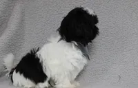 processed/477a908e-c497-4ec2-bbd8-b7f932275c18/listing/8ac60bee-af11-4477-950b-169a21dc3419/40134b4c-1a9e-486c-80c9-b450d819e296