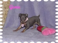 processed/477e9767-a381-4d4f-8767-0bdb2186afc1/facility/47678326-5671-4973-b741-b41f930f9549