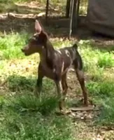 processed/477e9767-a381-4d4f-8767-0bdb2186afc1/facility/5fb5caac-8729-4af9-84b6-f1cf81194af9