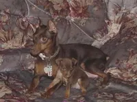 processed/477e9767-a381-4d4f-8767-0bdb2186afc1/facility/8236c8b8-a9b4-4916-a4b3-f017282a3125