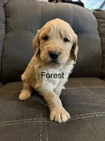 processed/478472e6-b0b0-447b-83e6-bfe4cc248177/listing/483f2bea-ba58-4038-a5d4-0841059249fb/ed1f05c6-35d3-4b56-8e17-b35787169737