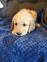 processed/478472e6-b0b0-447b-83e6-bfe4cc248177/listing/7cca2d1f-0a6a-4ec9-89f3-a22d73653b50/331d3a08-5317-4fb6-a21f-07ac00585827