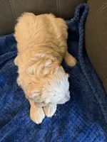 processed/478472e6-b0b0-447b-83e6-bfe4cc248177/listing/7cca2d1f-0a6a-4ec9-89f3-a22d73653b50/d08a49a1-d20f-4768-9af7-3a4a5ef6d399