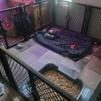 Facility photo