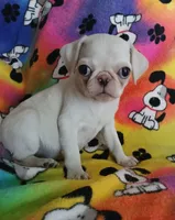 processed/478b2bd6-edd3-4d66-8b93-91529ff47f8b/listing/01689f3c-2079-4e8f-a1e5-62359b763a5a/88ce8f1d-5af8-496e-8a4d-e0132c57b7ab